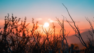 Рассвет / Фото: unsplash.com      