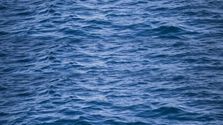 Спокойная морская гладь / Фото: pixabay.com