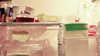 Полки холодильника / Фото: pxhere.com 