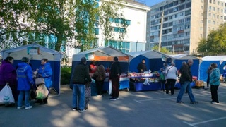 Ярмарка в Барнауле / Фото: t.me/barnaul_org