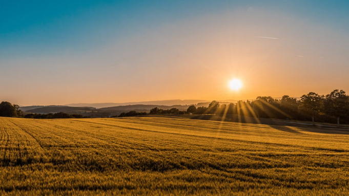 Рассвет / Фото: unsplash.com      