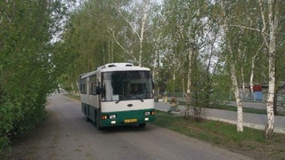Автобус в селе Мамонтово / Фото: t.me/mamontovo_official