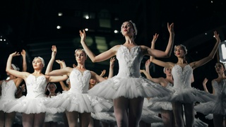 Балерины / Фото: unsplash.com    
