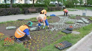 В Барнауле высаживают цветы / Фото: t.me/barnaul_org