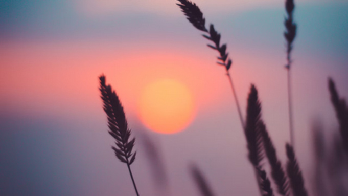 Закат солнца / Фото: unsplash.com