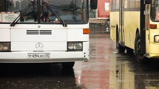 Автобусы в Барнауле / Фото: Екатерина Смолихина / amic.ru