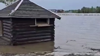 Кадо из видео, снятого на городском пляже / Вести Алтай