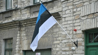 Флаг Эстонии / Фото: unsplash.com