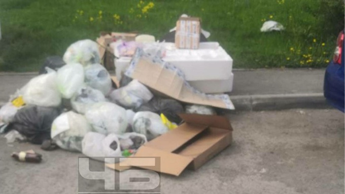 Мусорная куча / Фото: "Черное и Белое Барнаул"