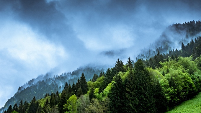 Туманное утро в горах / Фото: pxhere.com