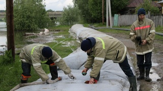 Спасатели делают дамбу в Затоне / Фото: МЧС Алтайского края
