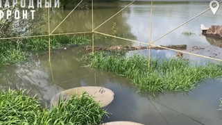 Фото: кадр видео "Народного фронта"