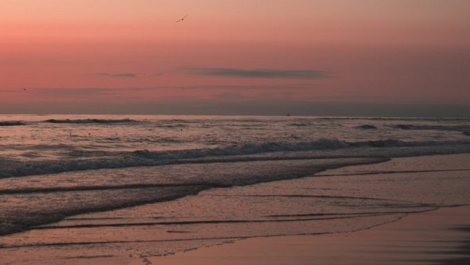 Закат / Фото: unsplash.com           