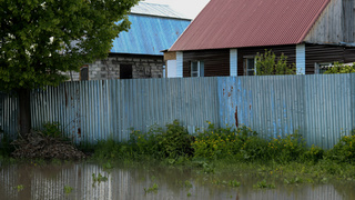 Паводок в Затоне / Фото: Алина Богомолова