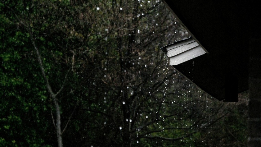 Дождь / Фото: unsplash.com/Anna Atkins