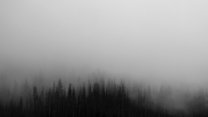 Туман / Фото: pxhere.com         