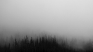 Туман / Фото: pxhere.com         