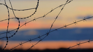 Колючая проволока / Фото: unsplash.com