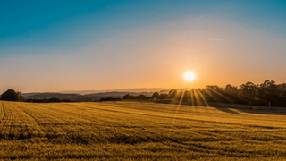 Рассвет в поле / Фото: unsplash.com 