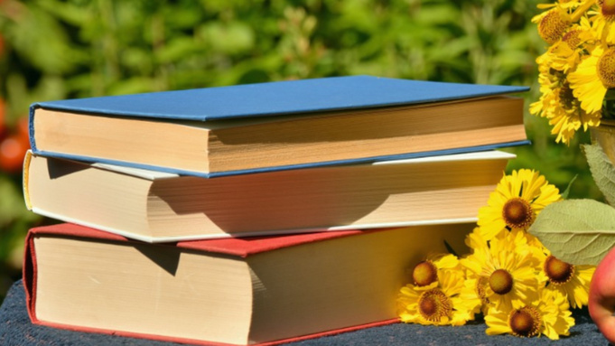 Книги / Фото: pxhere.com/ru/photo/789092