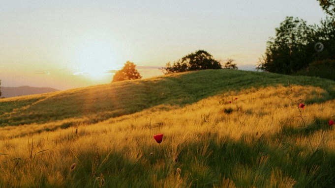 Закат / Источник фото: unsplash.com