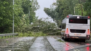 Ураган в Москве / Фото: соцсети  