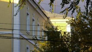 Здание и деревья / Фото: unsplash.com