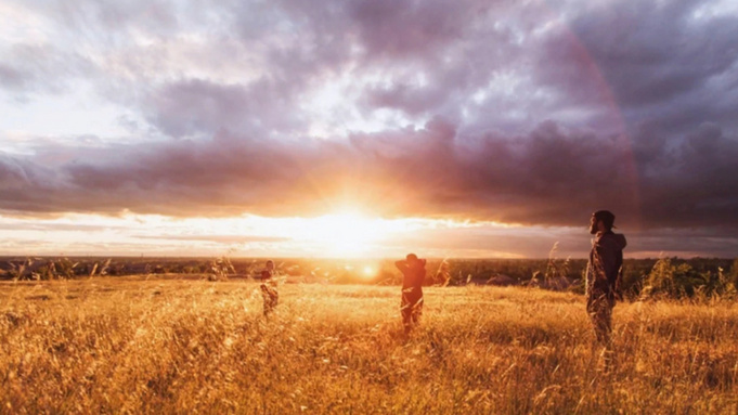 Жаркое солнце в поле / Фото: pxhere.com