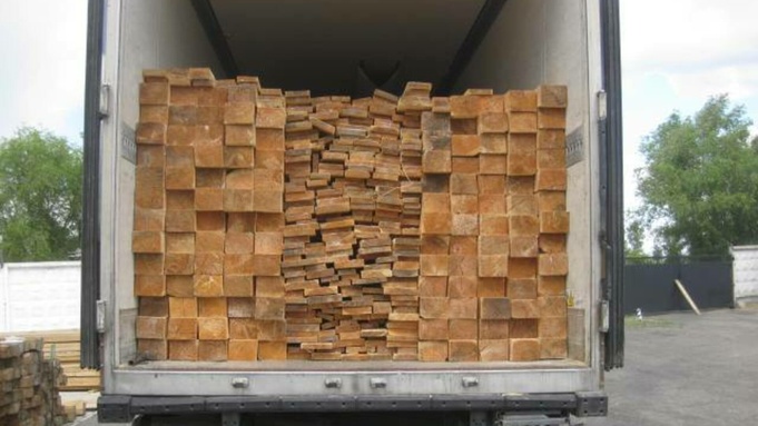 Контрабанда леса / Фото: Алтайская таможня