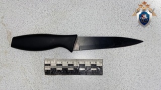 Нож, которым ранили девушку / Фото: СУ СКР по Республике Алтай