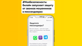 Иллюстрация предоставлена пресс-службой билайн