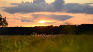 Закат в поле / Фото: unsplash.com