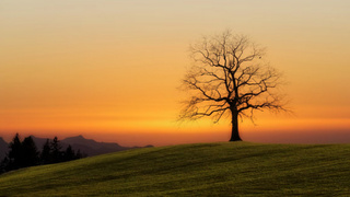 Закат / Фото: unsplash.com       