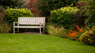 Сад. Газон / Фото: wirestock on Freepik