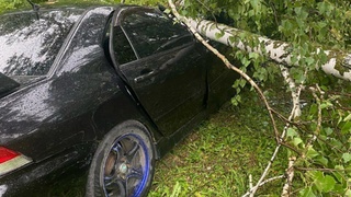 Пострадавшие автомобили / Фото: "Инцидент Барнаул"