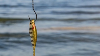 Рыболовный крючок / Фото: unsplash.com