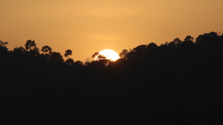 Солнце за деревьями / Фото: unsplash.com