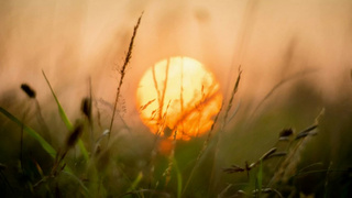 Солнце / Источник фото: unsplash.com