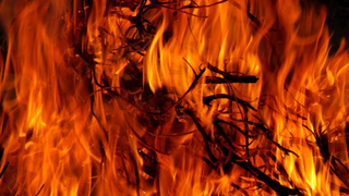 Пожар / Фото: pxhere.com/ru/photo/1328700