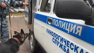 Кинолог с собакой / Фото: Фото: t.me/policebiysk