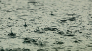 Дождь / Фото: pxhere.com/ru/photo/715716