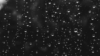 Капли дождя / Фото: unsplash.com 