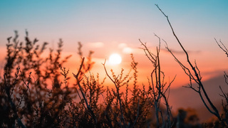 Рассвет в горах / Фото: unsplash.com