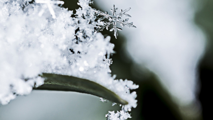 Холод / Фото: pxhere.com/ru/photo/192161