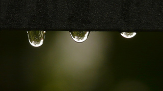 Дождь / Фото: pxhere.com/ru/photo/1155008