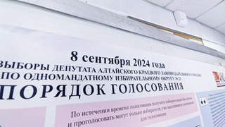 Фото с избирательного участка / Екатерина Смолихина / amic.ru