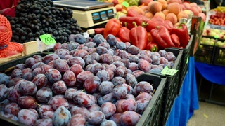 Ярмарка в Барнауле / Фото: t.me/barnaul_org