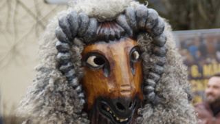 Человек в маске животного / Фото: pxhere.com/ru/photo/656106