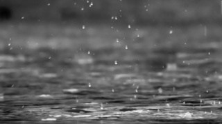 Дождь / Фото: pxhere.com/ru/photo/7286