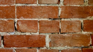 Кирпичная стена / Фото: unsplash.com